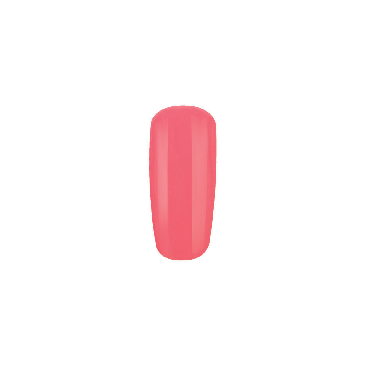 5S-828-1x1